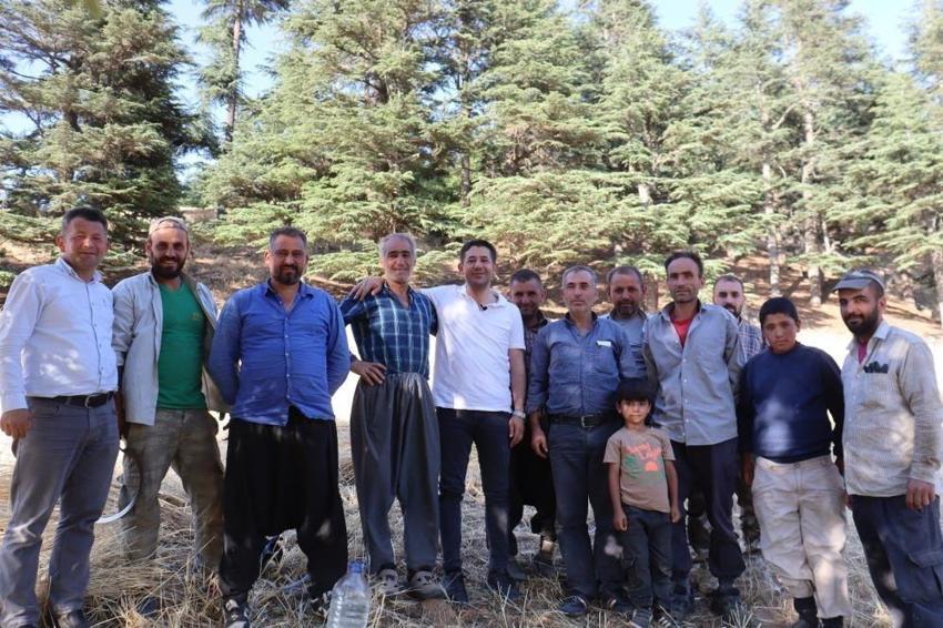 Türkiye'nin tek orakla hasadı başladı: Adana'da ihracatın ilk adımı burada atılıyor