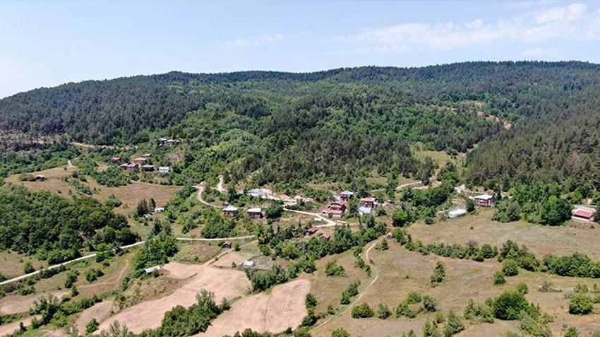 Kastamonulu dede torunu için aquapark yaptı! 'Ergün'ün kafası gitmiş diyorlardı'