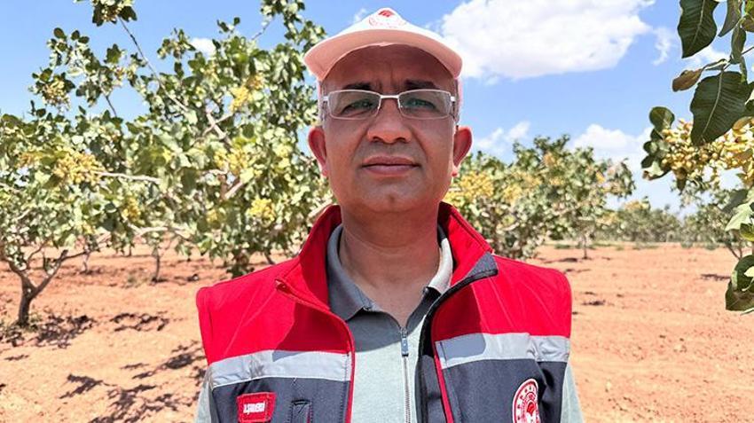Siirt'te denediler ve tuttu! Bahçesine eken para basacak