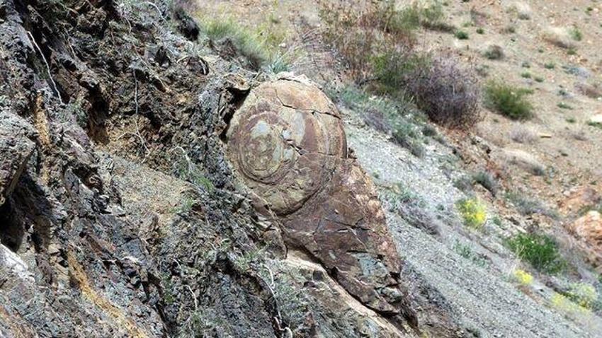 Tesadüf eseri gördü: Erzurum'da gördüğü manzarayı acil ihbar etti! 'Köstebek yuvasına çevirirler'