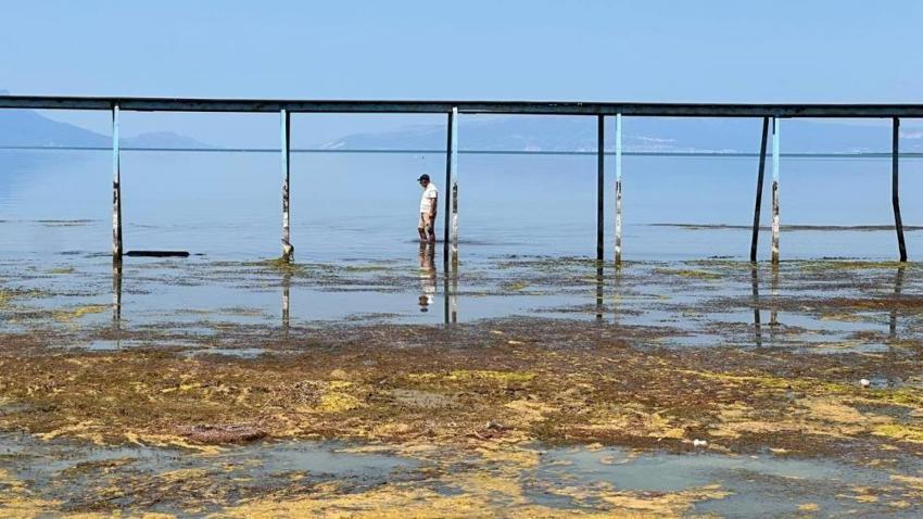 İznik Gölü'nde çöktü: Göl suyu çekilince korkunç görüntü ortaya çıktı