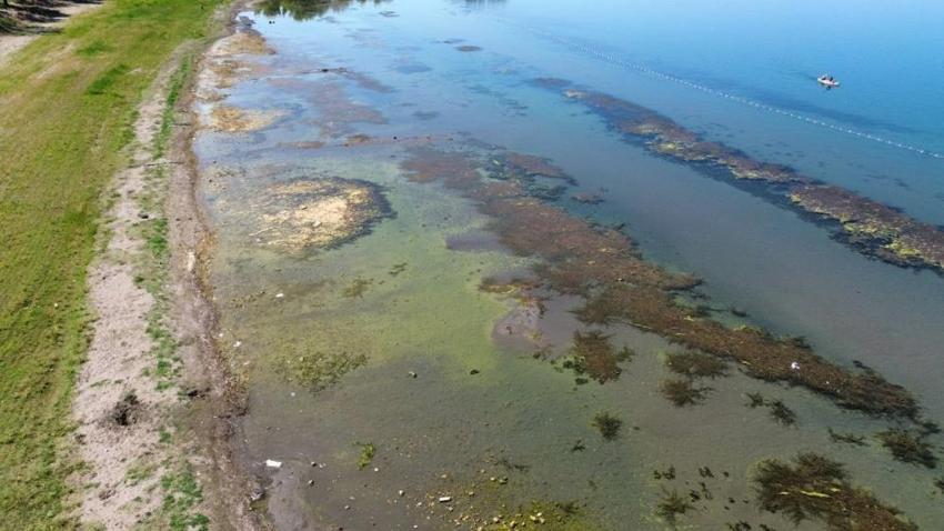 İznik Gölü'nde çöktü: Göl suyu çekilince korkunç görüntü ortaya çıktı