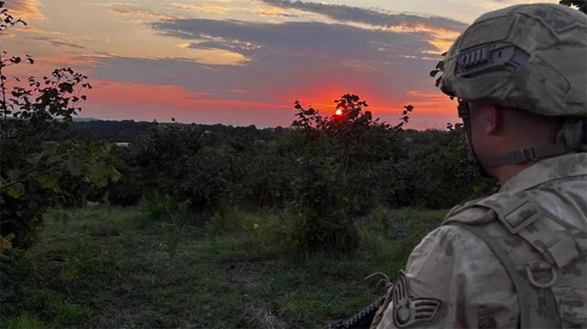Kilosu 600 TL'ye çıktı! Jandarma tarlada gece gündüz nöbet tutuyor, ön hasat başlayacak