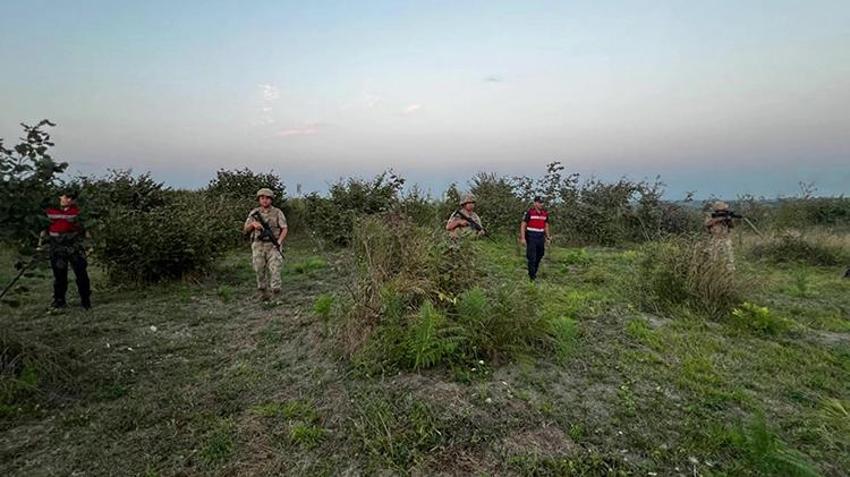 Kilosu 600 TL'ye çıktı! Jandarma tarlada gece gündüz nöbet tutuyor, ön hasat başlayacak