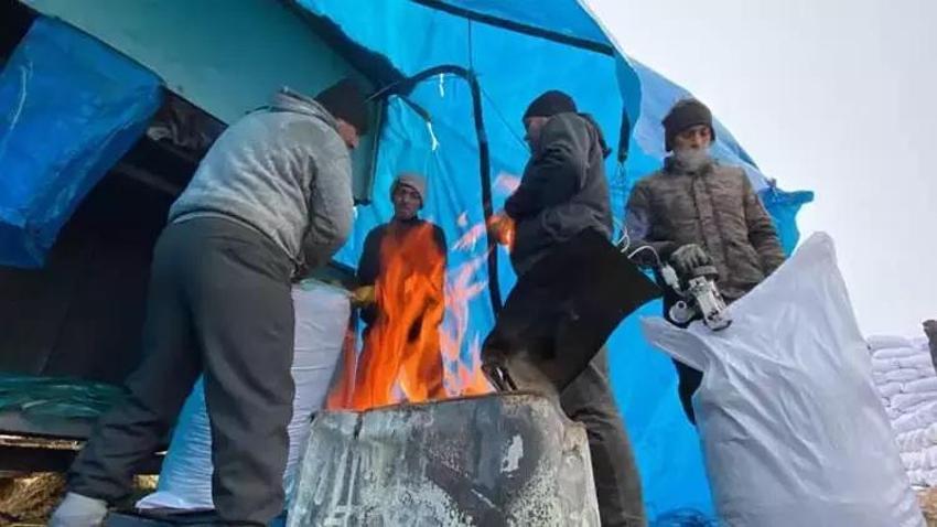 Gurbeti değil köyünü tercih etti: Köyde 200 dönüme tesis kurdu! Ton başına 3 bin TL kazanıyor