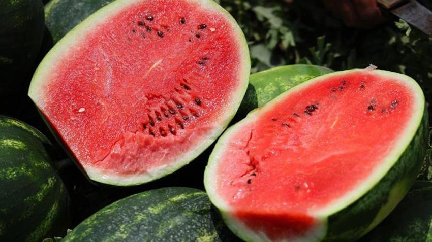 Adana ile Diyarbakır arasında 'karpuz' kavgası! Sosyal medya ikiye ayrıldı; 'Adana karpuzu bir markadır'