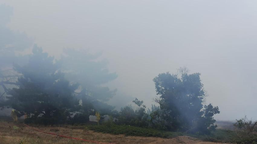 Konya'da 'odun ateşinde çay keyfi' ormanı küle çevirdi! İşte faciaya sebep olan kıvılcım