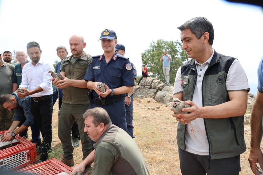 Adana'da 500 kınalı keklik kene ve çekirgeye karşı görevde!
