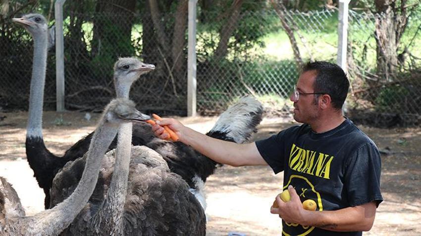 Yozgat'ta çocukluk hayalini gerçekleştiren vatandaş siparişlere yetişemiyor! Henüz çıkmamış yumurtaların bile sahibi var