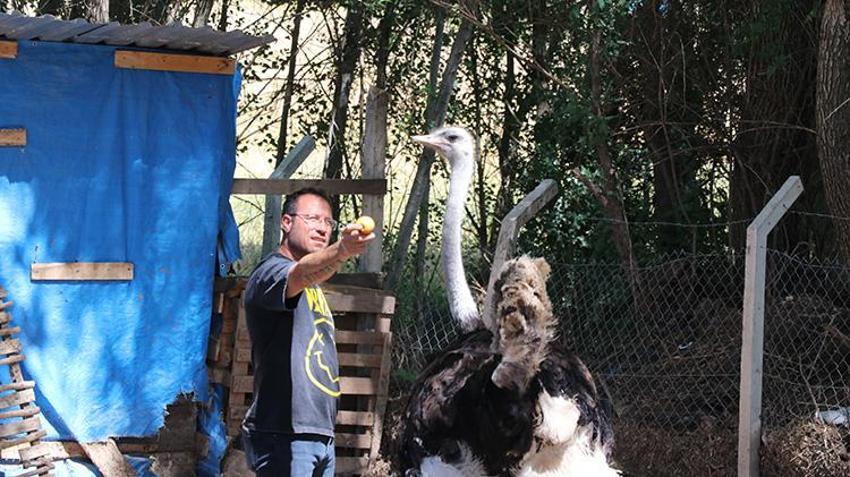 Yozgat'ta çocukluk hayalini gerçekleştiren vatandaş siparişlere yetişemiyor! Henüz çıkmamış yumurtaların bile sahibi var