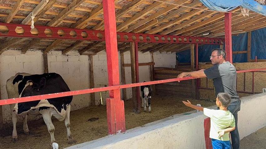 Yozgat'ta çocukluk hayalini gerçekleştiren vatandaş siparişlere yetişemiyor! Henüz çıkmamış yumurtaların bile sahibi var