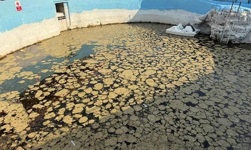 Eskişehir risk altında! Tehlike büyüyor, yeni görüntüler ortaya çıktı, alarm verildi