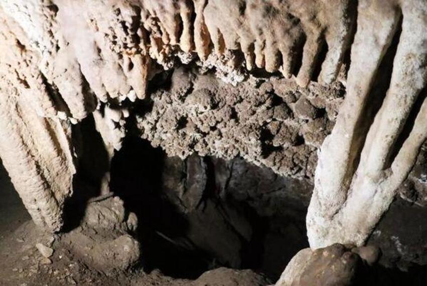 Çoban keşfetti, kaçak kazı sonra başladı: Denizli'de dağın tepesinde oydukça toprak altından parladı