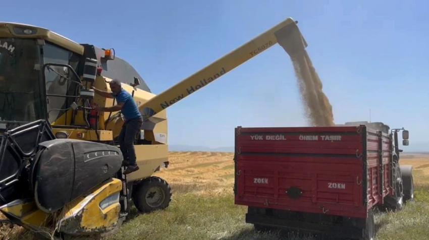 Kars'ta herkesin 'yapma' dediğini yaptı: Dönüm başına 600 kilo ürün elde etti!