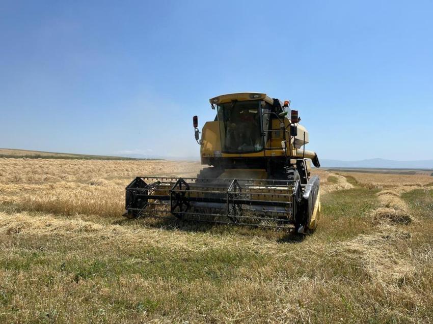 Kars'ta herkesin 'yapma' dediğini yaptı: Dönüm başına 600 kilo ürün elde etti!