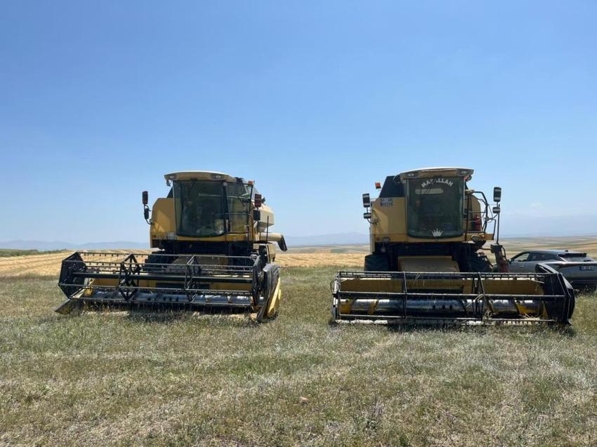 Kars'ta herkesin 'yapma' dediğini yaptı: Dönüm başına 600 kilo ürün elde etti!