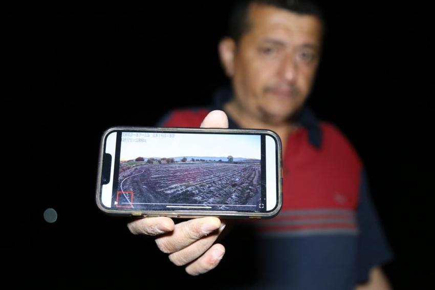 Kastamonu'da 'beyaz altın' nöbeti'! Hasadı devam eden ürünün değeri yükselince silahla nöbet tutmaya başladılar