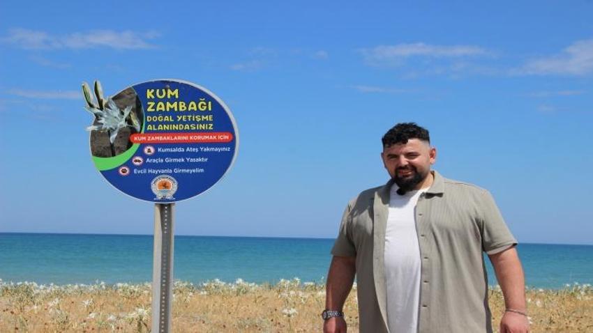 Samsun'da sahil kenarında kendiliğinden yetişiyor: Karadeniz'i süsledi, cezası çok ağır!