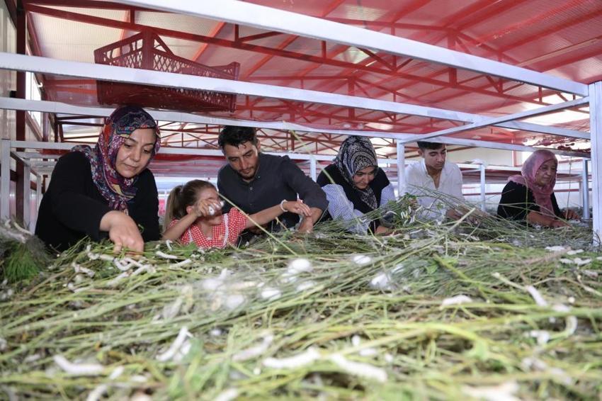 Yılda bir kez ürettiği ürün zengin yaptı! Elazığ'da köyüne tesis kurdu