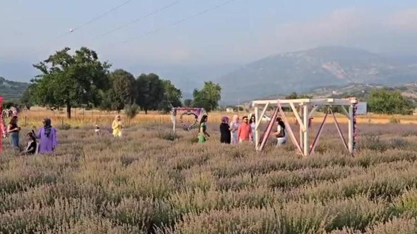 Adana'da buranın ismini duyan akın ediyor: Yaz mevsiminde renk cümbüşüne döndü