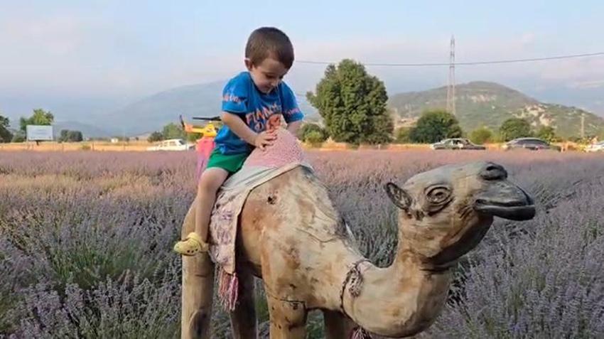 Adana'da buranın ismini duyan akın ediyor: Yaz mevsiminde renk cümbüşüne döndü