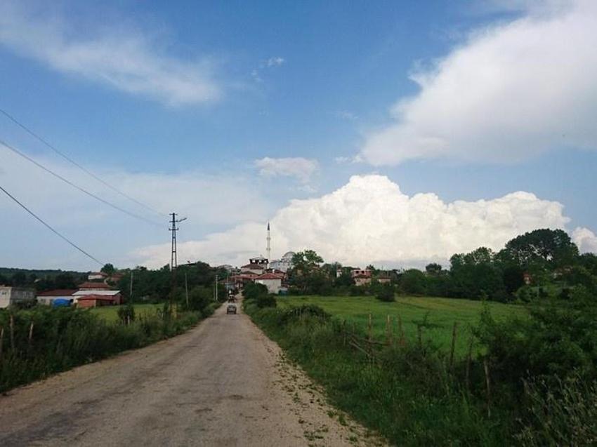 Bursa'da 60 mahallede bulundu: Mustafakemalpaşa'da bir köyden yayıldı! 3 ilde gizleniyor