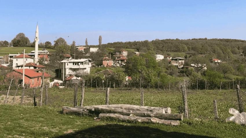 Bursa'da 60 mahallede bulundu: Mustafakemalpaşa'da bir köyden yayıldı! 3 ilde gizleniyor