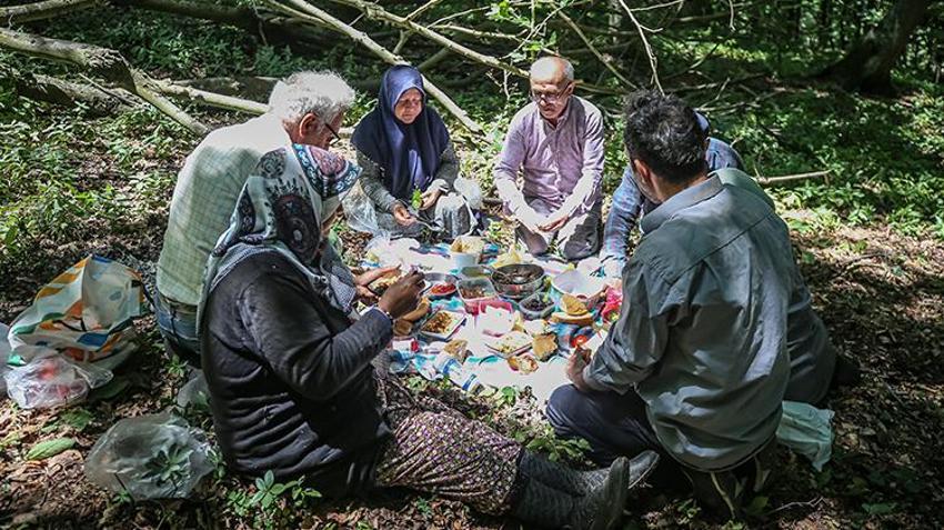 Bursa'da yetişiyor, tüm dünya duydu! Hasat ailecek yapılıyor, kilosu 1.400 TL'den kapış kapış gidiyor