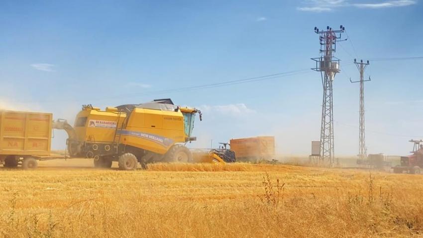 Bitlis Türkiye'nin kaderini değiştirdi: 101 bin dekarda hasat başladı