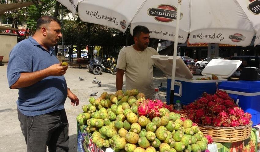 Mersin'de doğadan bedava toplanıyor: Kendiliğinden yetişiyor, gelir kapısı oldu! 'Tanesi 10 lira'