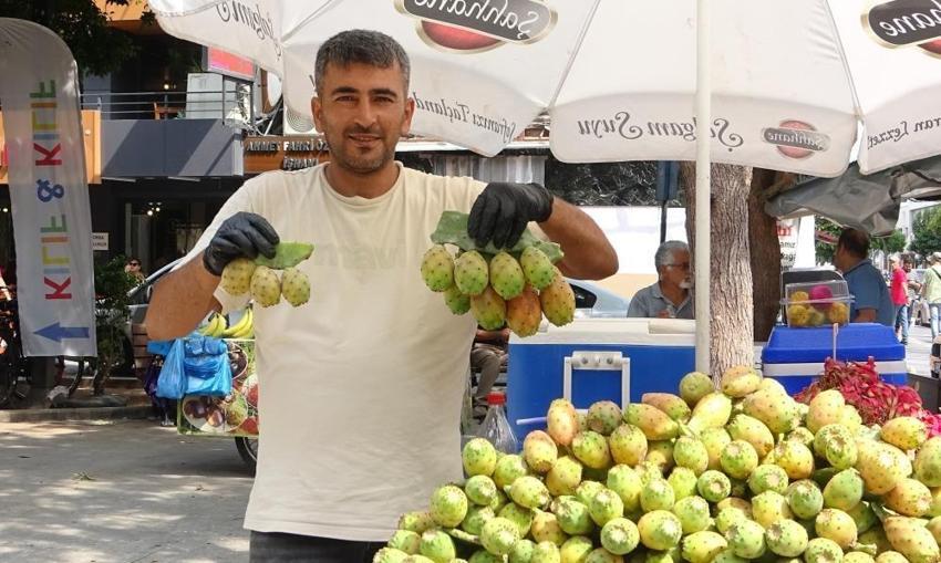 Mersin'de doğadan bedava toplanıyor: Kendiliğinden yetişiyor, gelir kapısı oldu! 'Tanesi 10 lira'