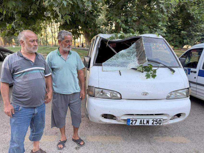 Konya'da her şey çay içerken oldu: Çınar ağacının dalı devrildi! 11 yaralı