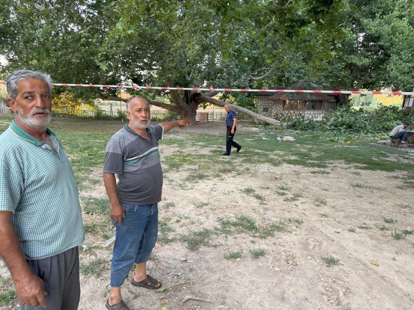 Konya'da her şey çay içerken oldu: Çınar ağacının dalı devrildi! 11 yaralı