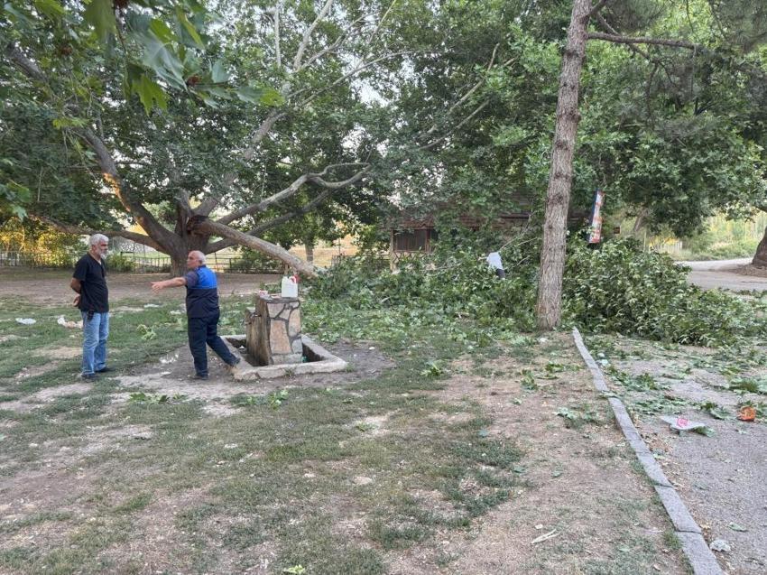 Konya'da her şey çay içerken oldu: Çınar ağacının dalı devrildi! 11 yaralı