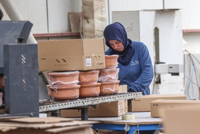 Fiyatı Japonlar belirleyince Bursa'da satışı patladı! Taleplere yetişemiyorlar