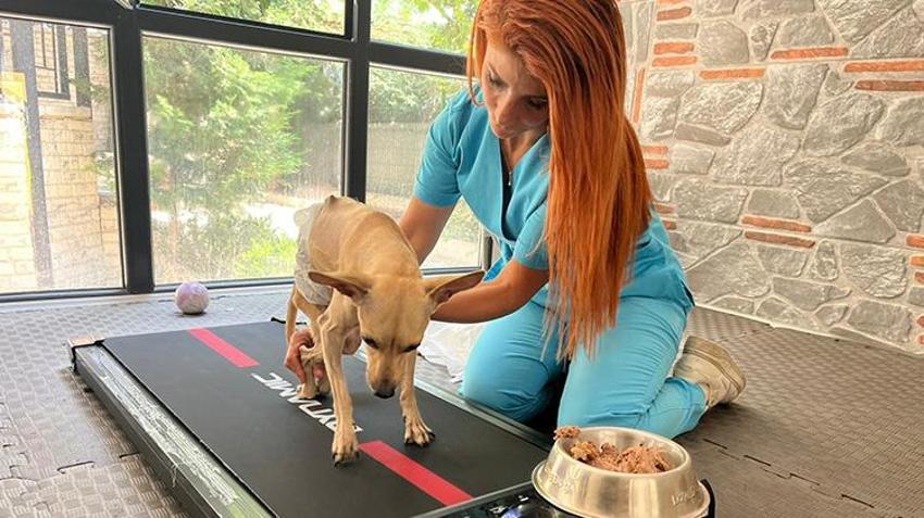 Böyle vicdansızlık görülmedi! Nişanlıyken sahiplendiler, ayrılınca terk ettiler