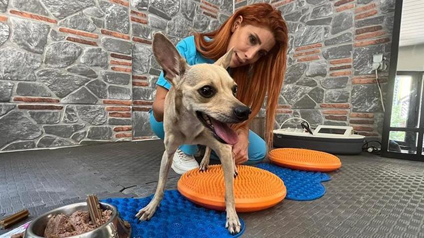 Böyle vicdansızlık görülmedi! Nişanlıyken sahiplendiler, ayrılınca terk ettiler