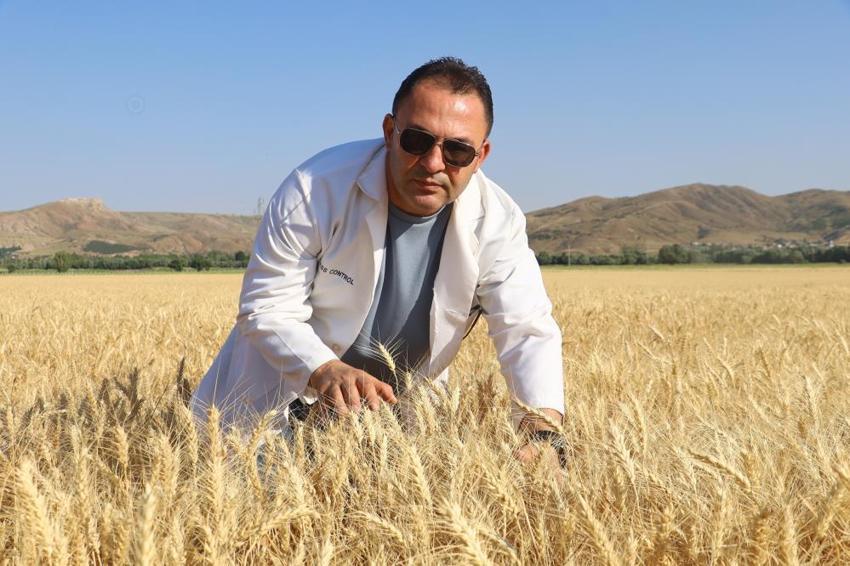 Sivas'ta dev atılım! Hasat sonrası çiftçilere dağıtılacak: Verimi ikiye katlayacak