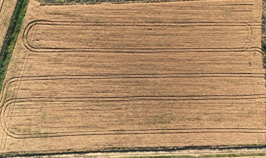 Sivas'ta dev atılım! Hasat sonrası çiftçilere dağıtılacak: Verimi ikiye katlayacak