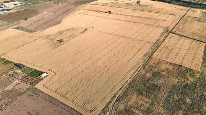 Sivas'ta dev atılım! Hasat sonrası çiftçilere dağıtılacak: Verimi ikiye katlayacak