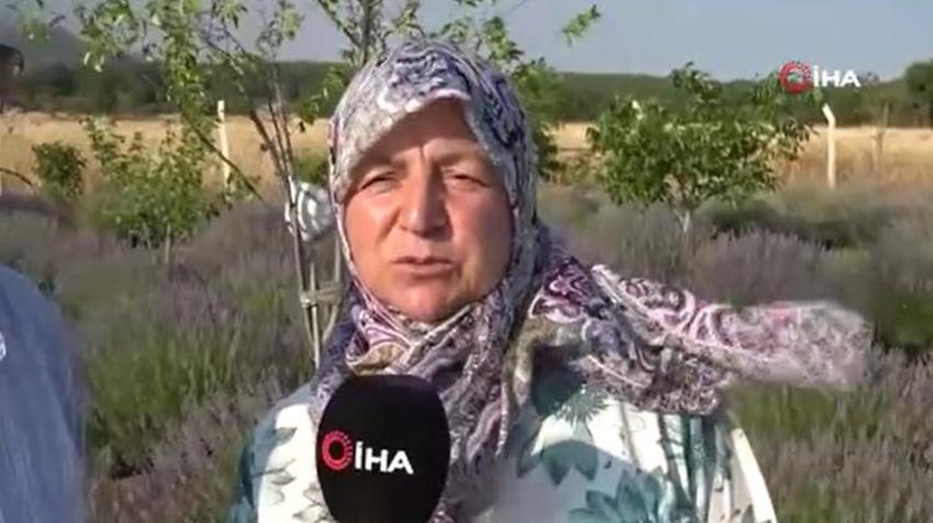 Kütahya'da hobi olarak başladılar geçim kapısı oldu! 1,5 dönümden 30 dönüme çıkardılar
