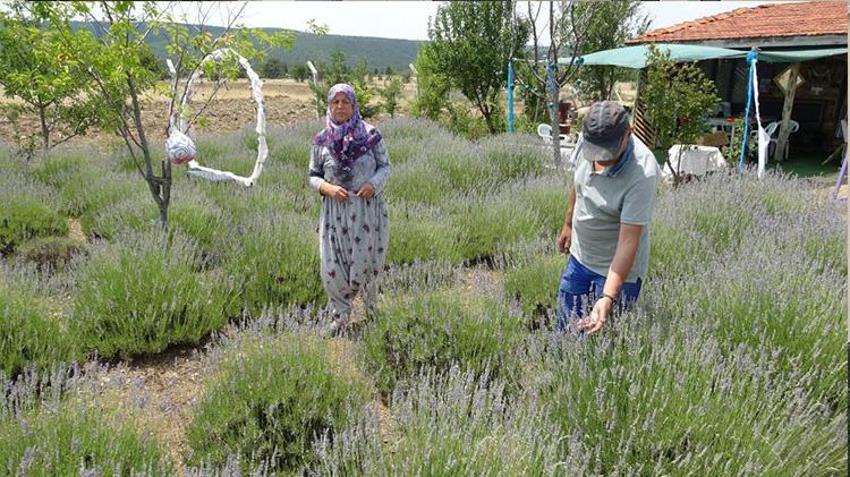Kütahya'da hobi olarak başladılar geçim kapısı oldu! 1,5 dönümden 30 dönüme çıkardılar