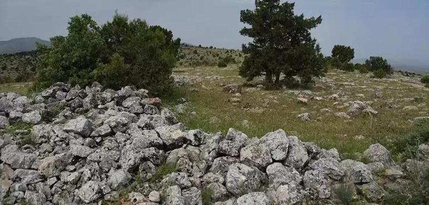 Konya'da 40 kapısı var, son odası altın dolu! Köylüler akın ediyor: Hazineyi incir ağaçları sarıyor!