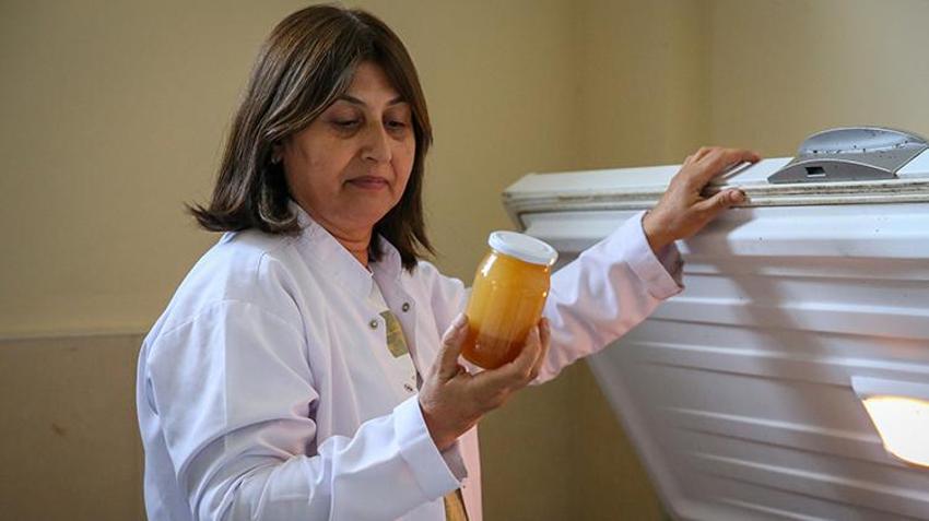 Sadece Hatay'da üretiliyor! Tadına bakan beğenmiyor ama şifa deposu, hasat başladı, kavanozu 450 lira