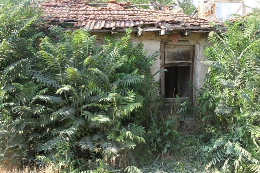 Keloğlan ve eşeğinin sırrı çözüldü! Şehrin diline dolandı, yaşadıkları yer ortaya çıktı