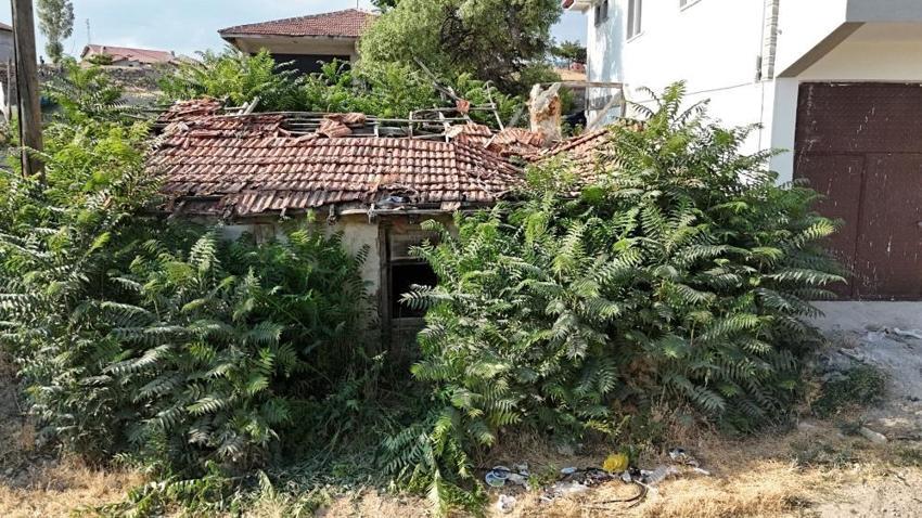 Keloğlan ve eşeğinin sırrı çözüldü! Şehrin diline dolandı, yaşadıkları yer ortaya çıktı