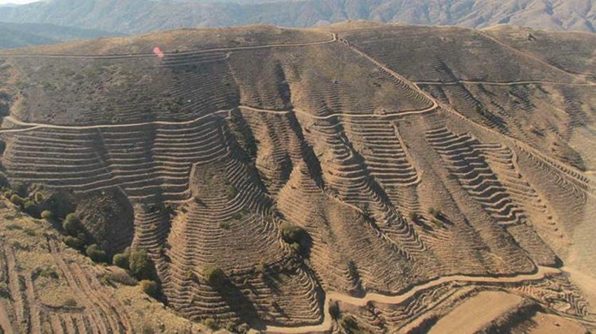 İzmir'de yanan ormanlık alan Kıbrıs büyüklüğünde! Tehlike kapıda: Yerleşim yerlerine ve denize akacak!