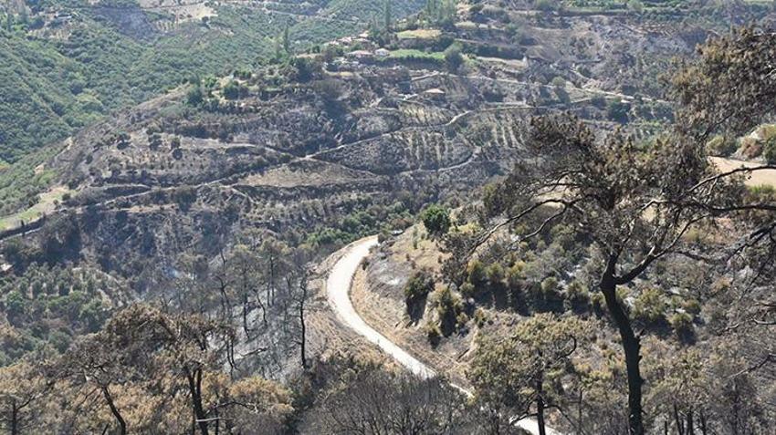 İzmir'de yanan ormanlık alan Kıbrıs büyüklüğünde! Tehlike kapıda: Yerleşim yerlerine ve denize akacak!