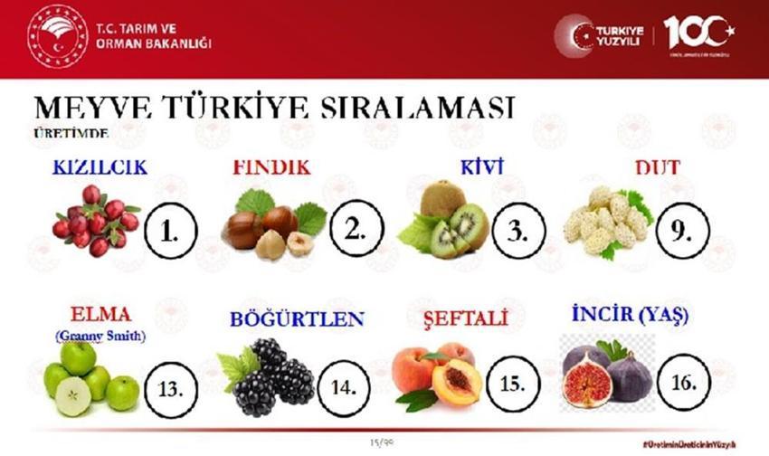 Kızılırmak ve Yeşilırmak kıyılarından dünyaya lezzet yağıyor!