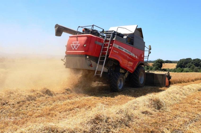 Kızılırmak ve Yeşilırmak kıyılarından dünyaya lezzet yağıyor!